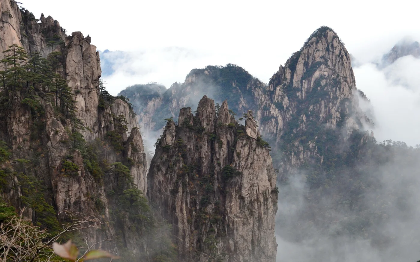 Pine trees and granite peaks in the Beihai area of Huangshan