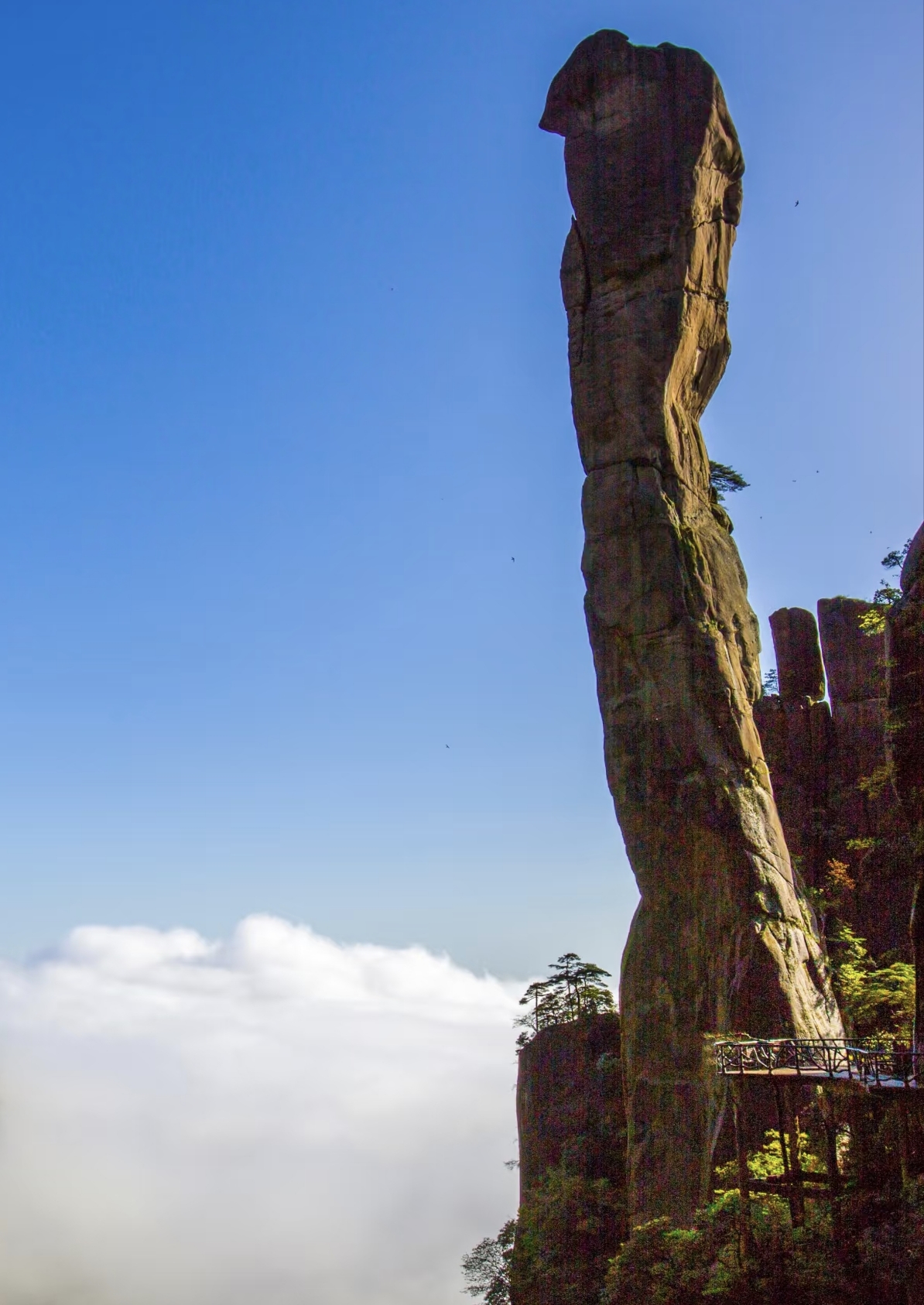 Giant Python rock formation at Mount Sanqingshan in China