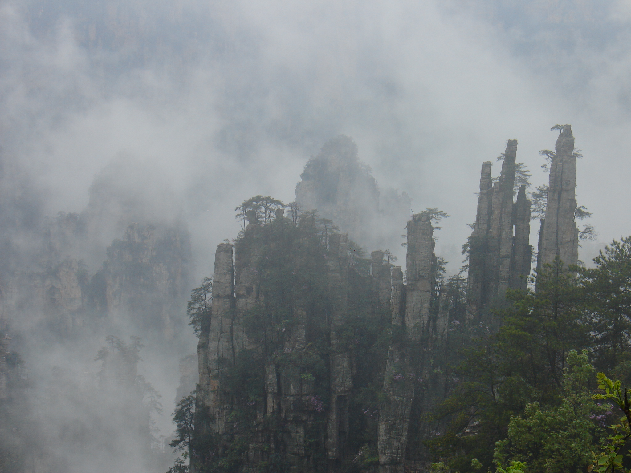Sandstone pillar scenery in Zhangjiajie scenic area, Hunan